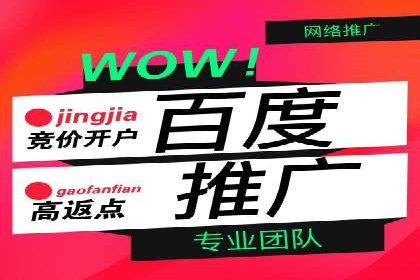 百度推广平台案例分享：助力企业品牌腾飞