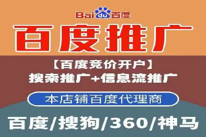 探索专业SEM托管的奥秘：从案例看效果